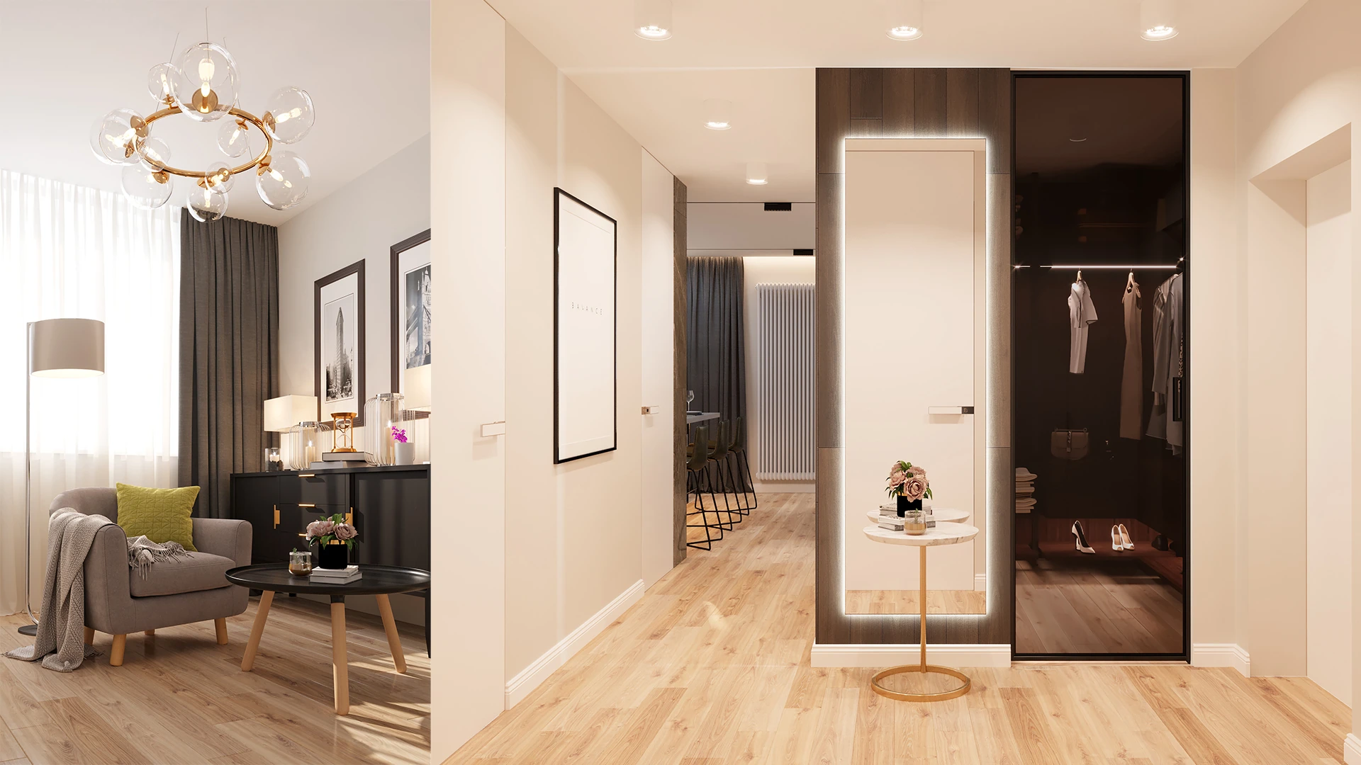 Entry area and closet