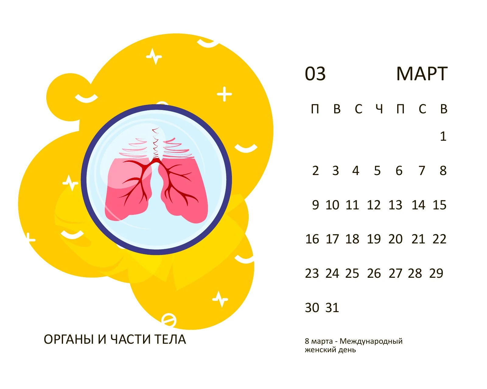 March 2020: organs and body parts