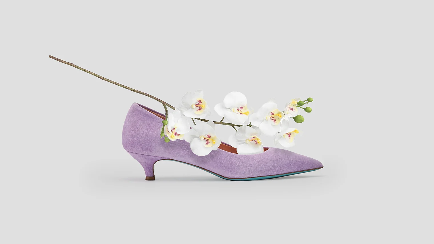 PODIMIS catalog shoe photograph with flowers
